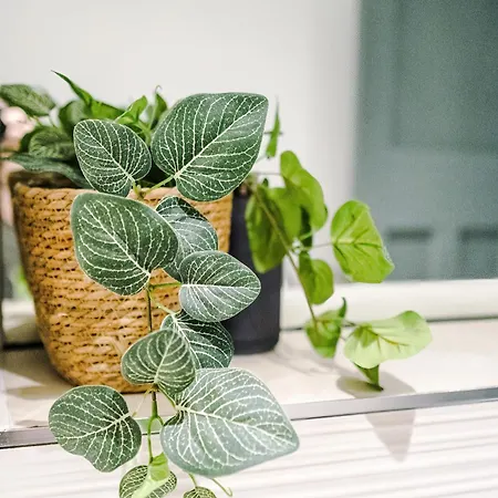 Centre 2 Bed - Grade Ii Listed * Leeds (West Yorkshire)